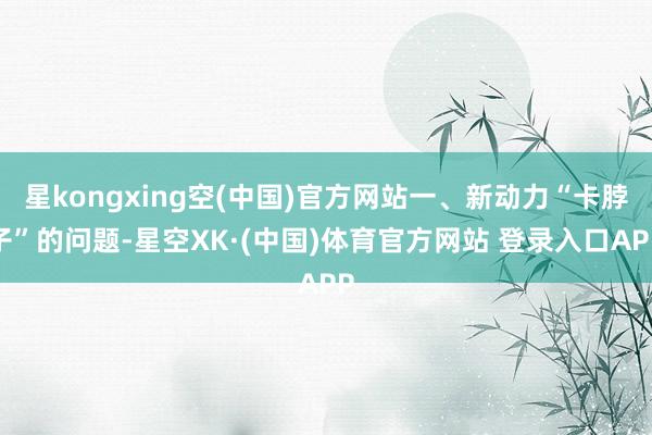 星kongxing空(中国)官方网站一、新动力“卡脖子”的问题-星空XK·(中国)体育官方网站 登录入口APP