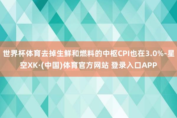 世界杯体育去掉生鲜和燃料的中枢CPI也在3.0%-星空XK·(中国)体育官方网站 登录入口APP